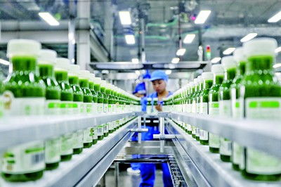 山東智繪藍(lán)圖 畜牧漁業(yè)飼料銷(xiāo)售動(dòng)能澎湃