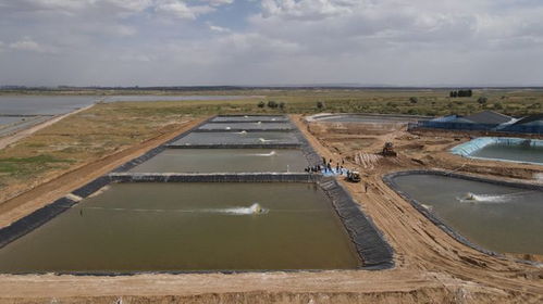 榆林迎小龍蝦上市旺季 水產賦能鄉村振興，畜牧漁業飼料銷售同步增長