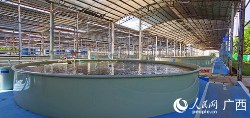 畜牧漁業(yè)飼料銷(xiāo)售 市場(chǎng)現(xiàn)狀與未來(lái)展望